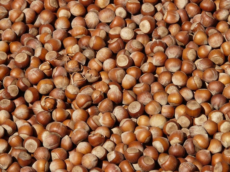 Nutty Trail Mix